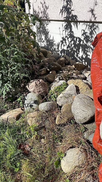 Pietre & tegole: Flusssteine / Bollersteine – Usato da Romanshorn venduto da Schuetzengarten 1