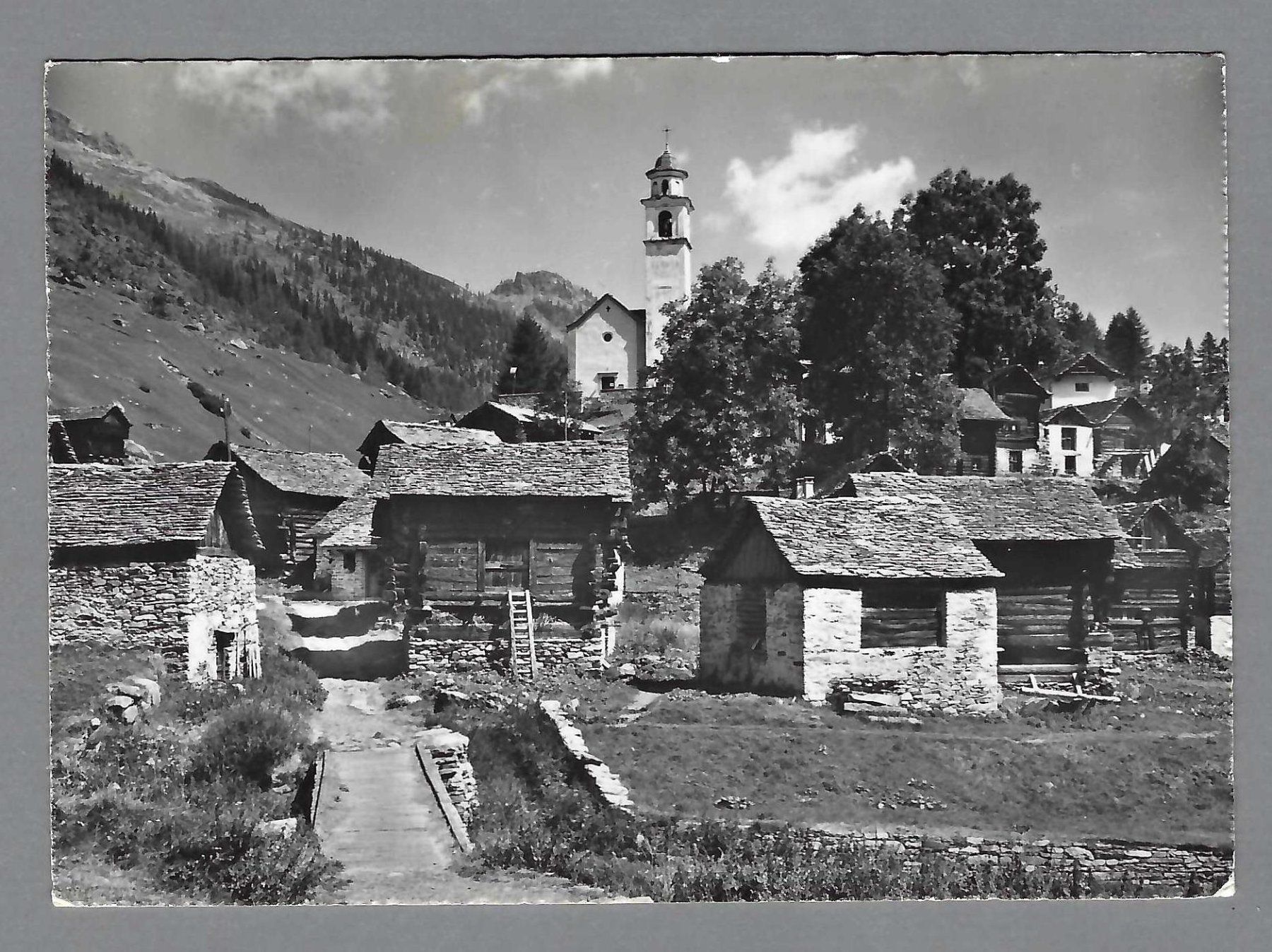 Cartoline postali: 1957, BOSCO-GURIN, DETTAGLIO – Usato da Pura venduto da ulisse1957