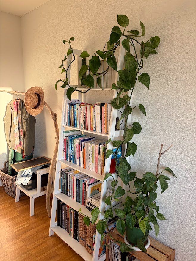 Piante & sementi: Pothos, sehr gesund 4m lang – Usato da Baar venduto da annasorbian 1