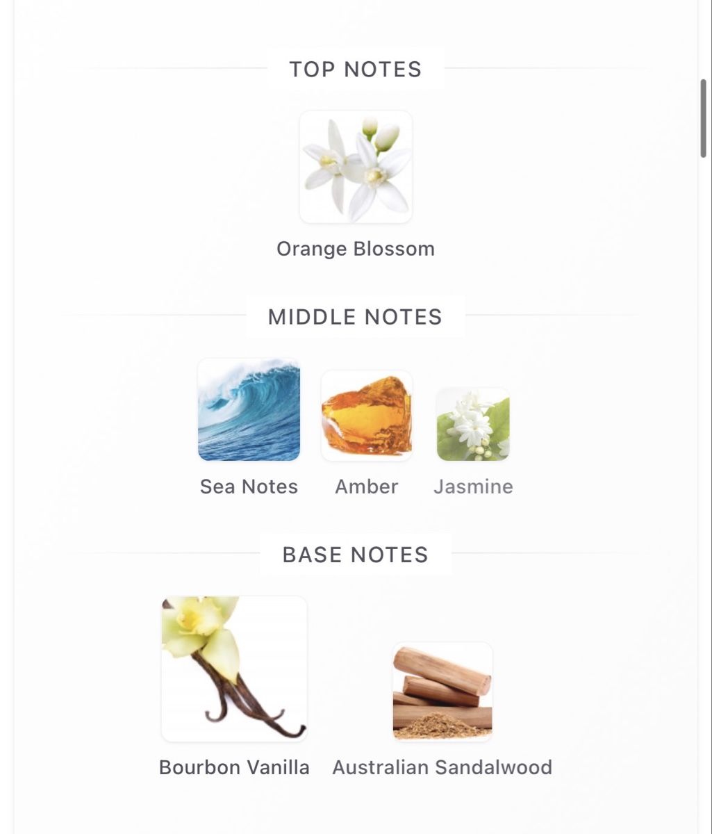 Mizensir Parfums & Eau de Toilette: Mizensir Tres Chere Eau de Parfum 100ml – D'occasion à Zürich par Thetimtam 6