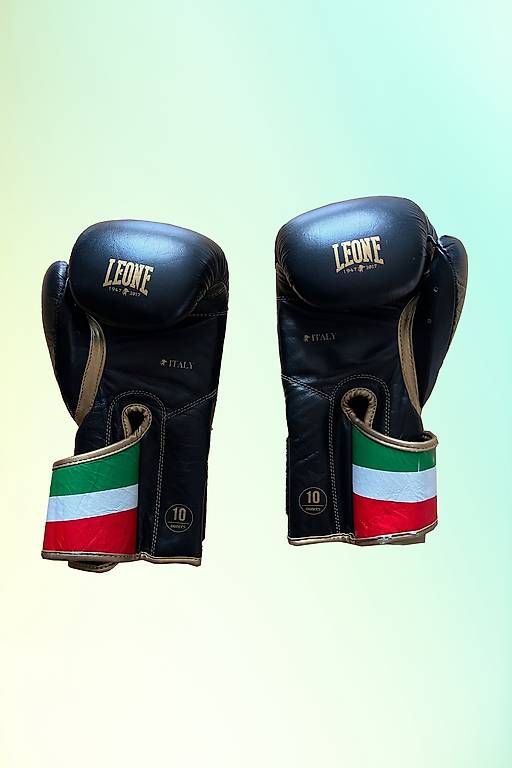 Guanti & manicotti: Leone Boxhandschuhe mit Schienbeinschonern – Usato da Bern venduto da A_Bern 1