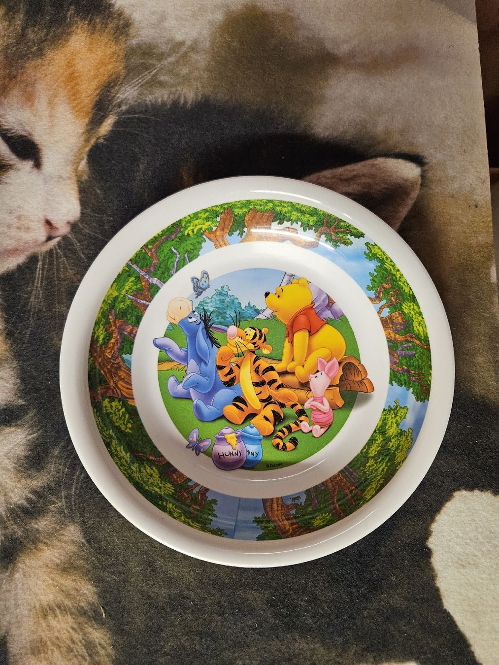 Piatti: Plastik Teller mit Winnie Puuh Motiv – Usato da Besenbüren venduto da ste_dh5c