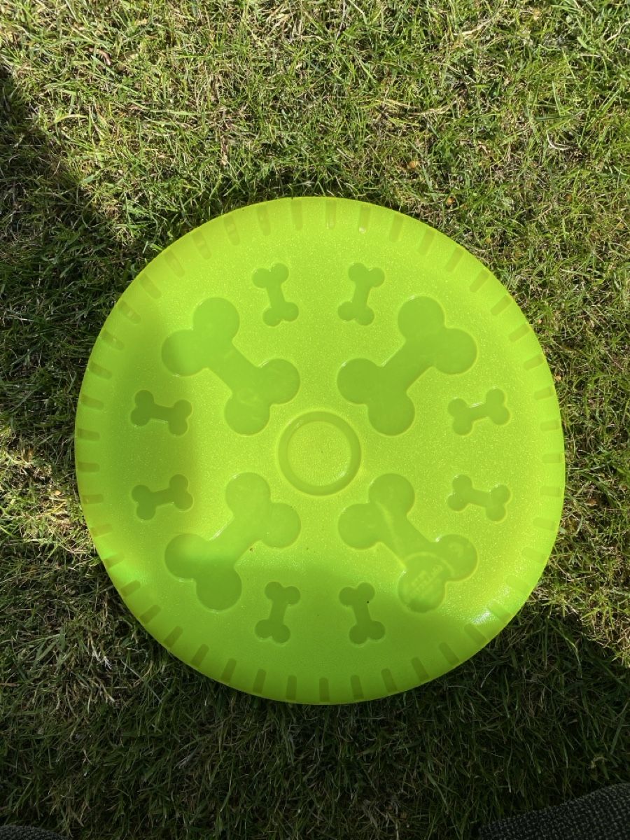 Giocattoli: Frisbee für Hunde, neu – Nuovo (secondo la descrizione) da Sarmenstorf venduto da Luethycel