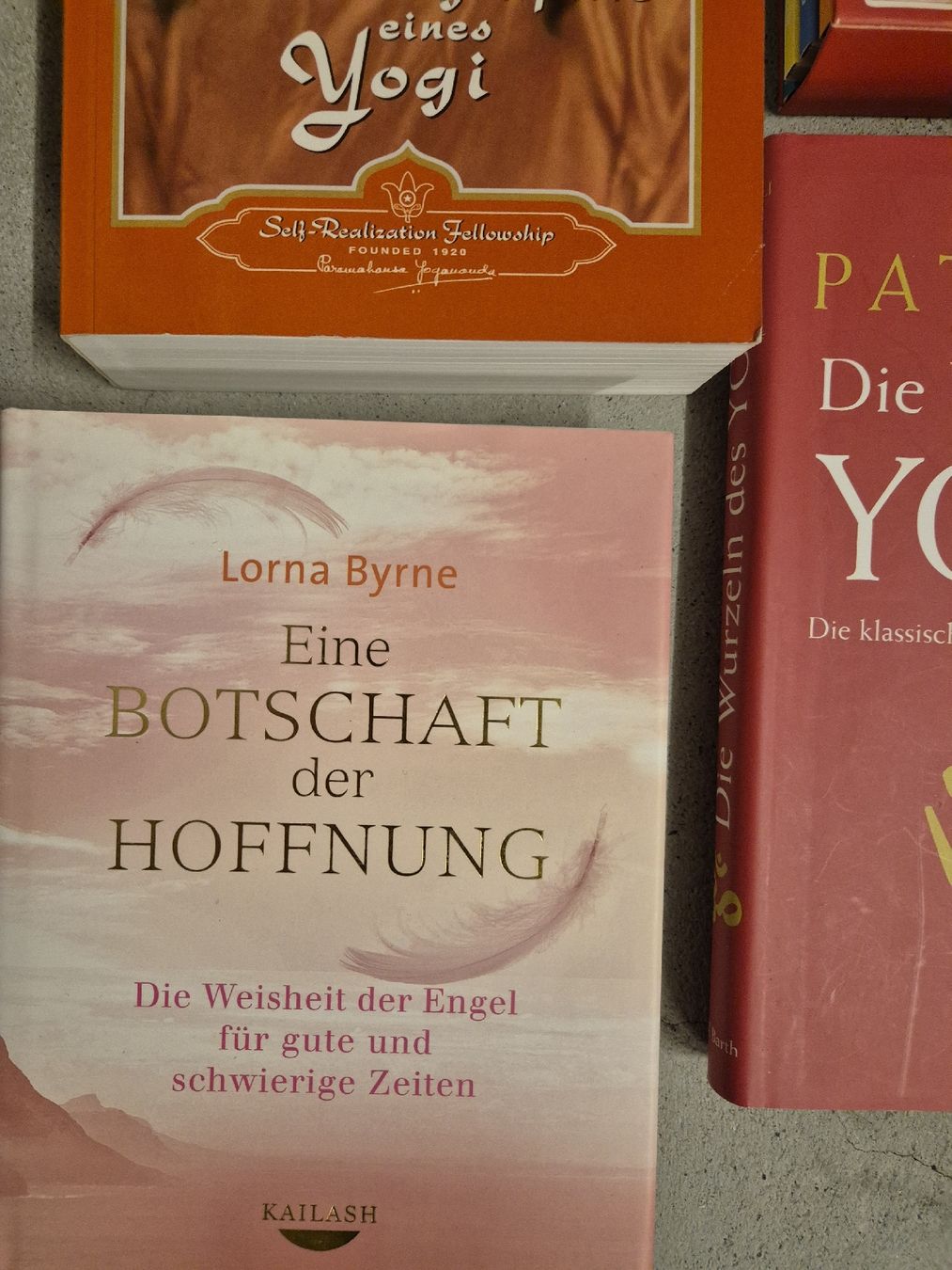 Bücher: Yogabücher neuwertig – Neu (gemäss Beschreibung) aus Villmergen von MONCHHICHI 3