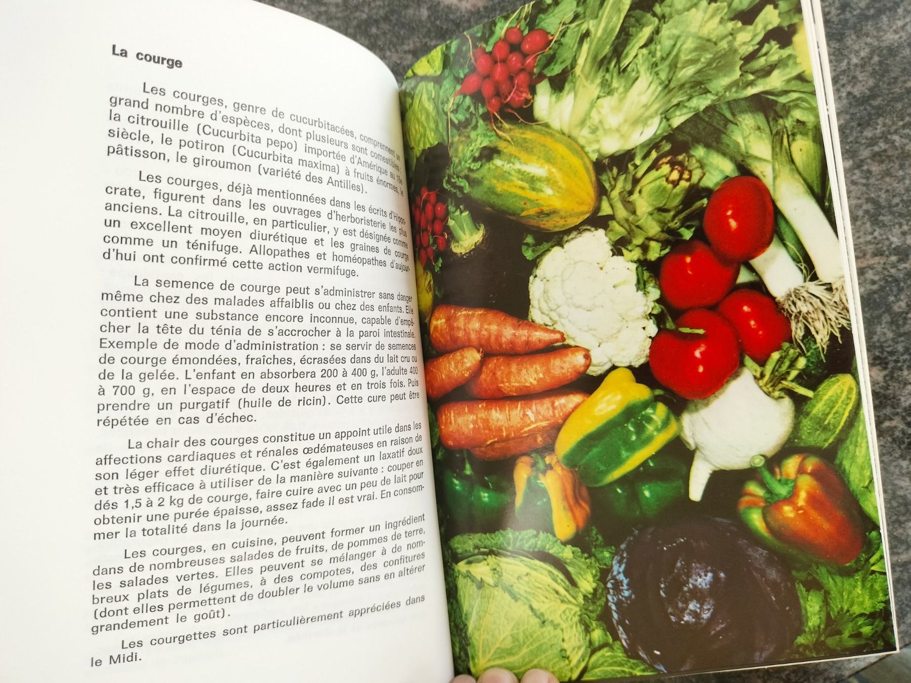 Libri: La santé par les aliments Dr E. Schneider 1968 numéroté – Nuovo (secondo la descrizione) da Cortaillod venduto da rozinna 4