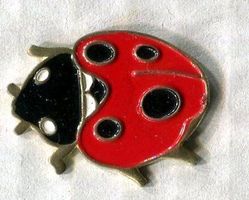 Marienkäfer