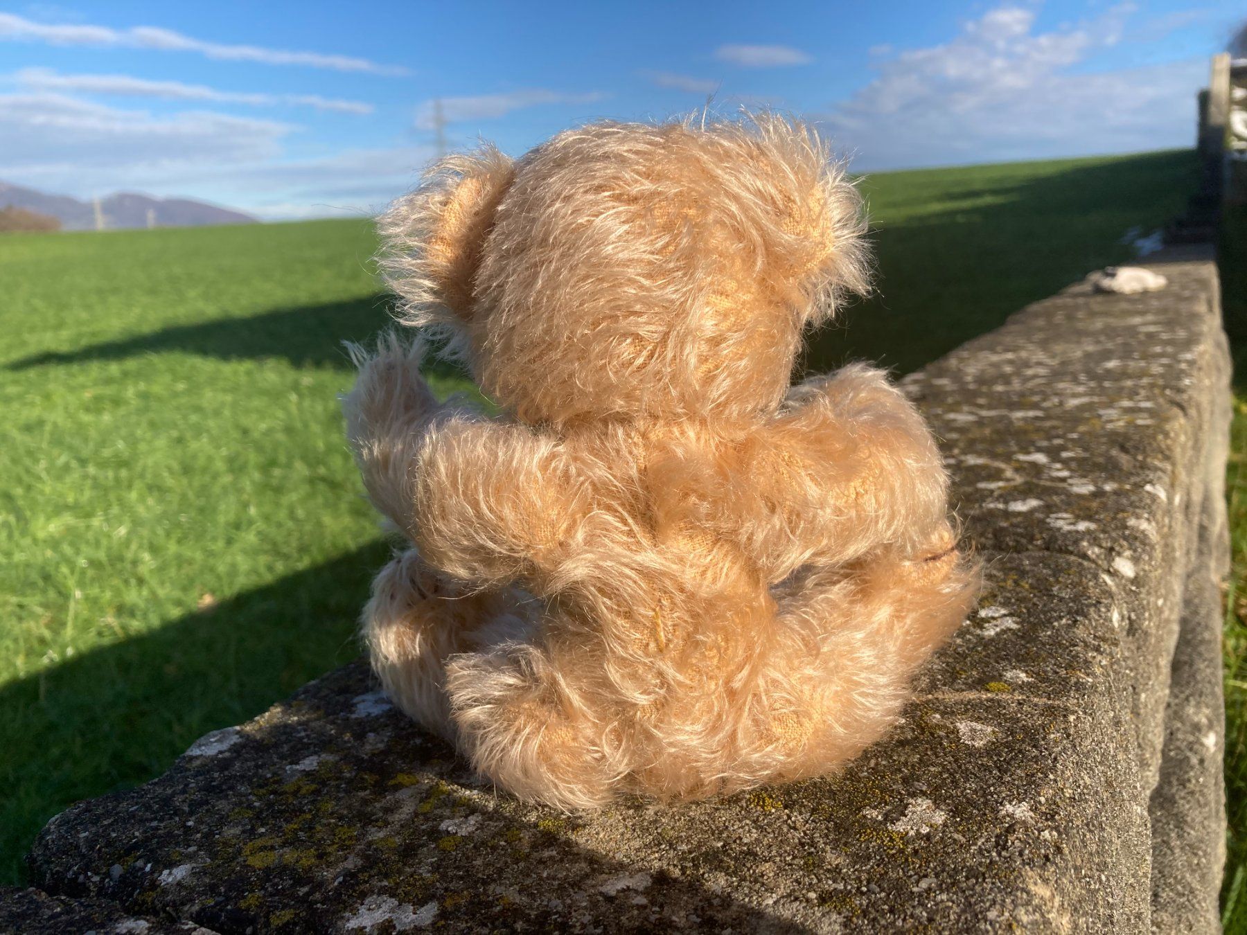Giocattoli: Teddy Teddybär mit handgestricktem Pullover+Jupe handgenäht – Usato da Subingen venduto da Etageren 6