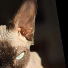 Profile image of mix_ht8l