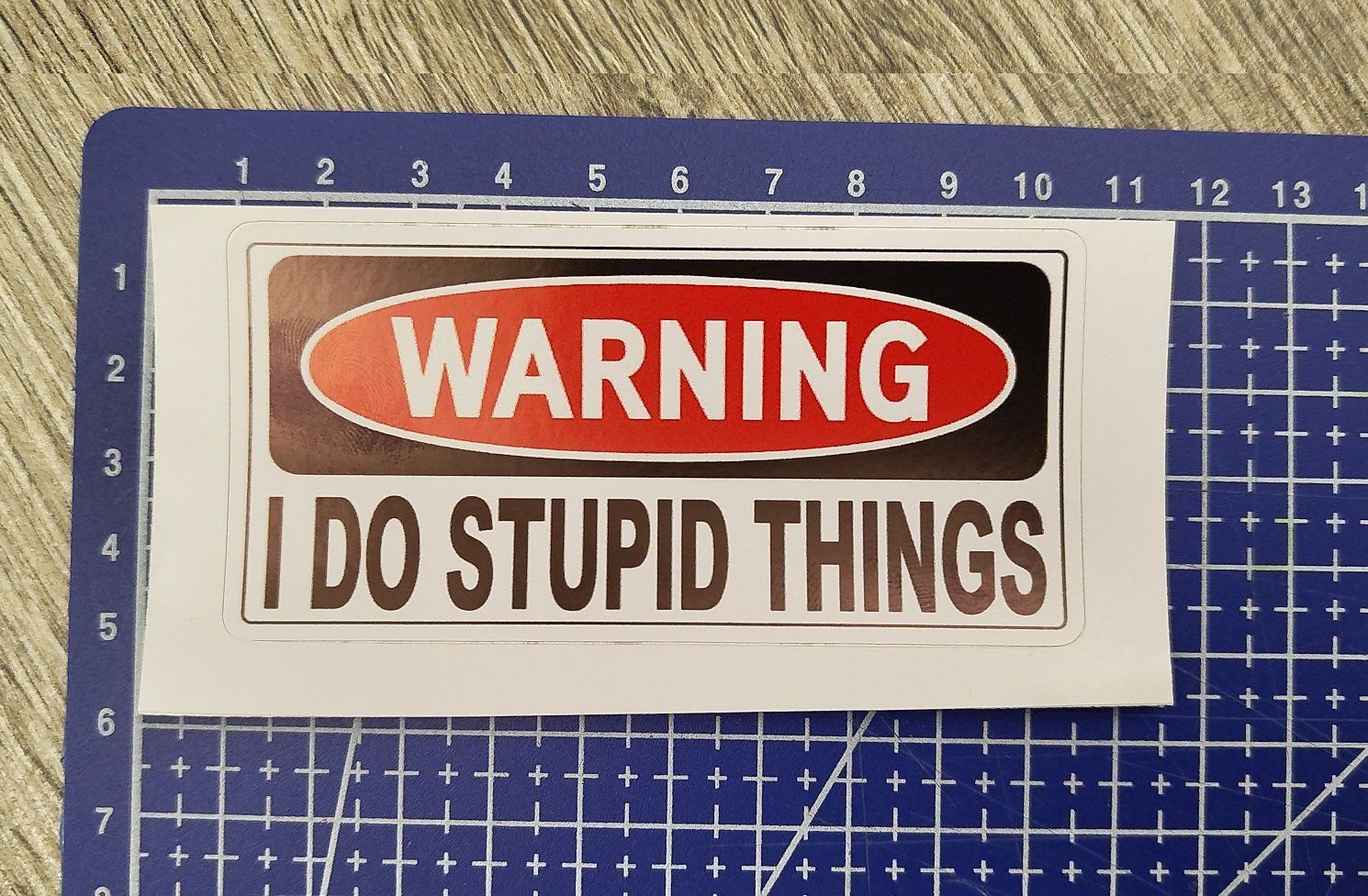 Sticker: Sticker WARNING I DO STUPID THINGS ca. 45x95mm Aufkleber – Nuovo (secondo la descrizione) da Effretikon venduto da easyjones