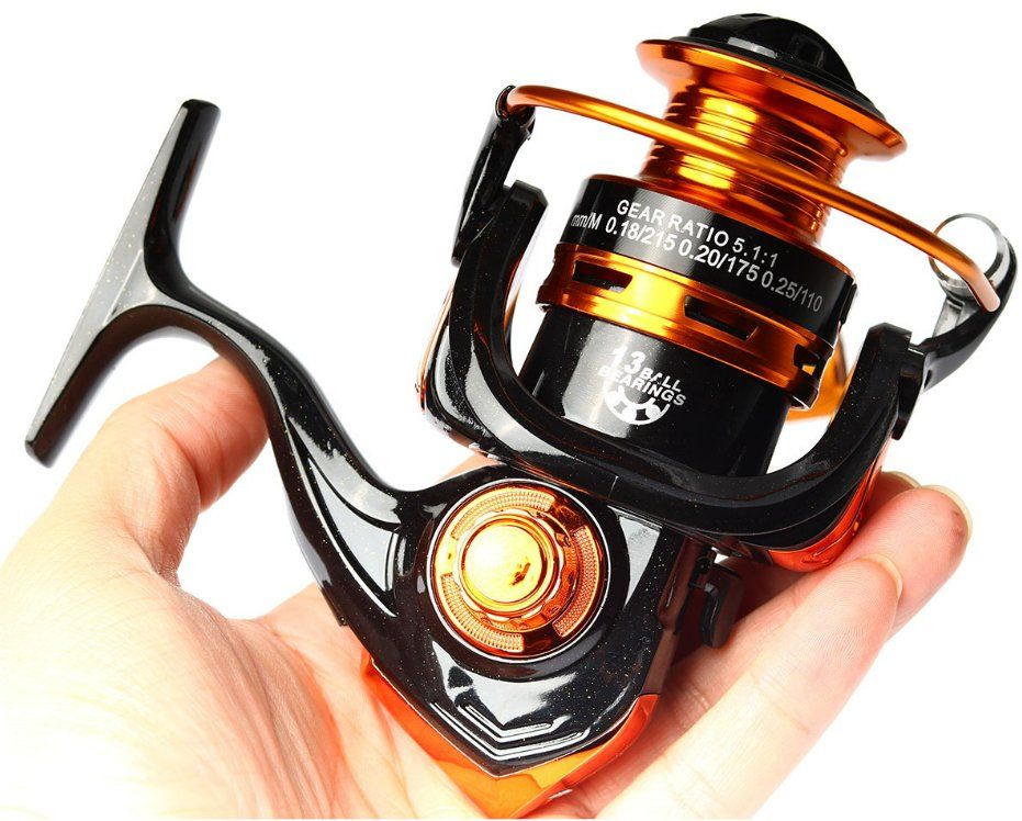 Angelrolle Expert1000 - Perfekt Für Einsteiger & Ultralight Angeln