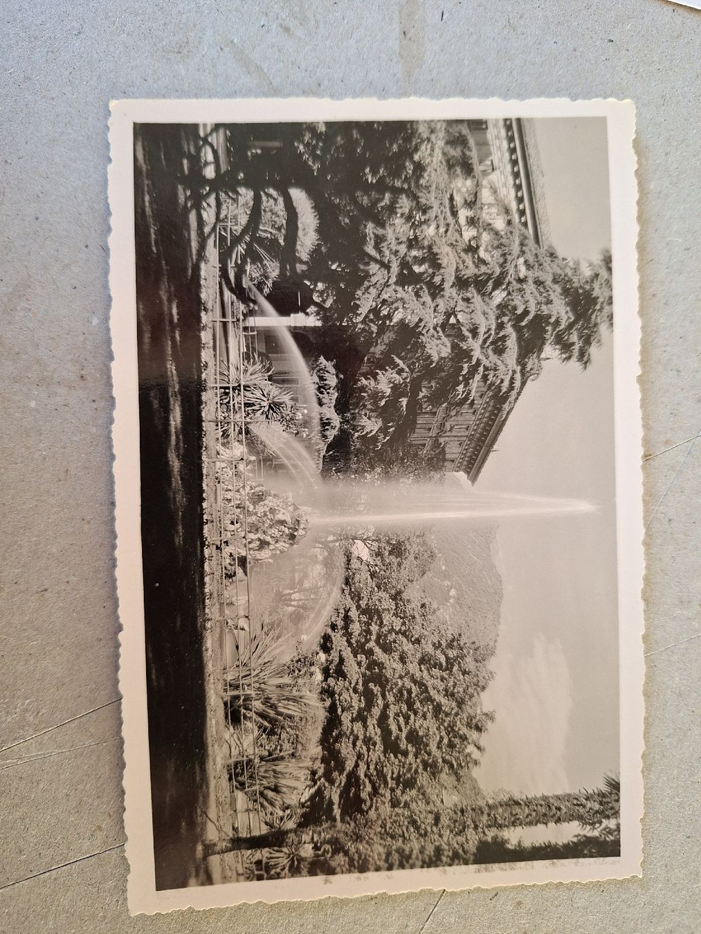 Cartoline postali: Lot: 5x historische Schweizer Ansichtskarten gelaufen – Usato da Rorschacherberg venduto da RelictByJones