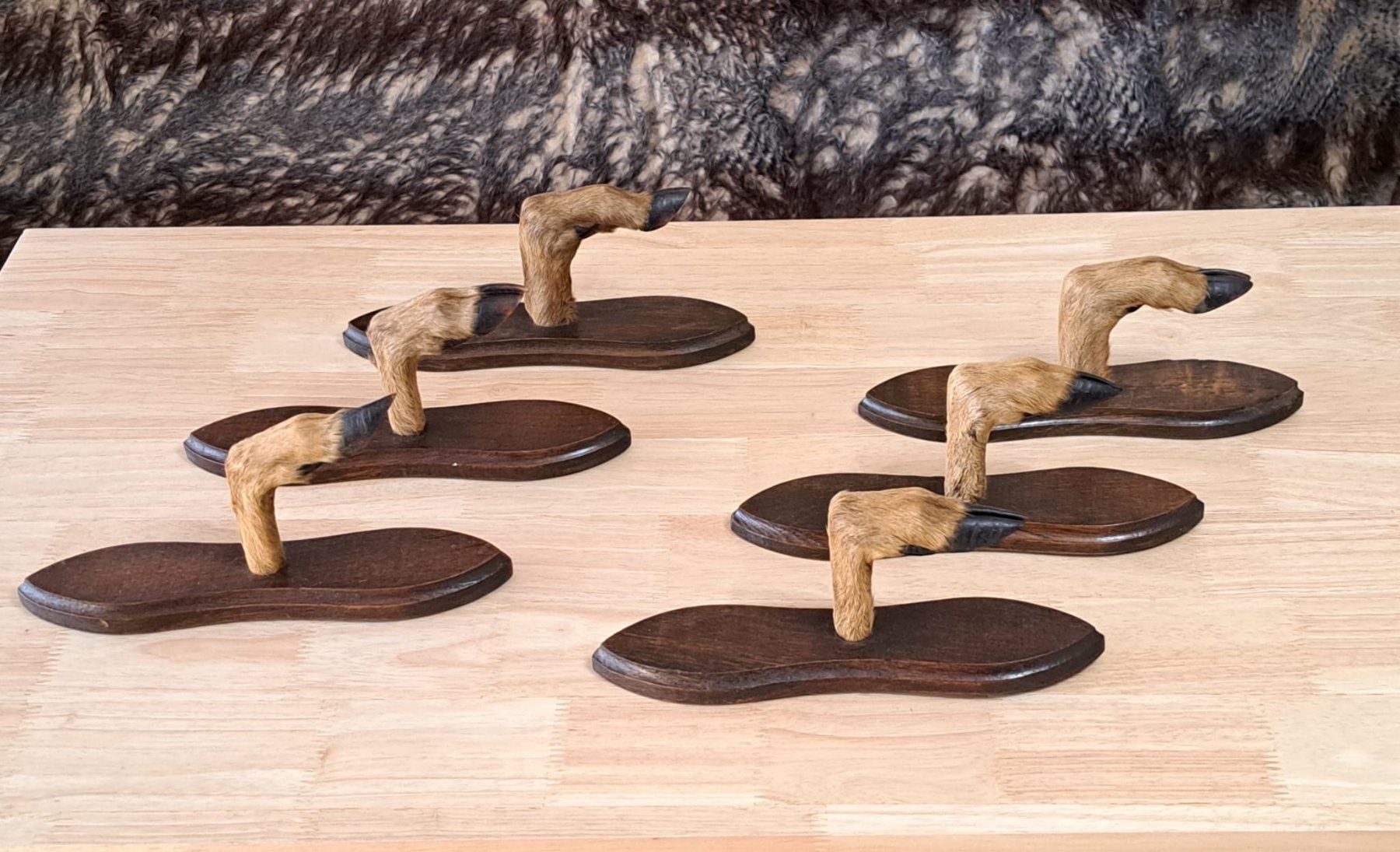 Guardaroba: Vintage Garderobe Reh Jagdtrophäe – Usato da Birsfelden venduto da oleros 7