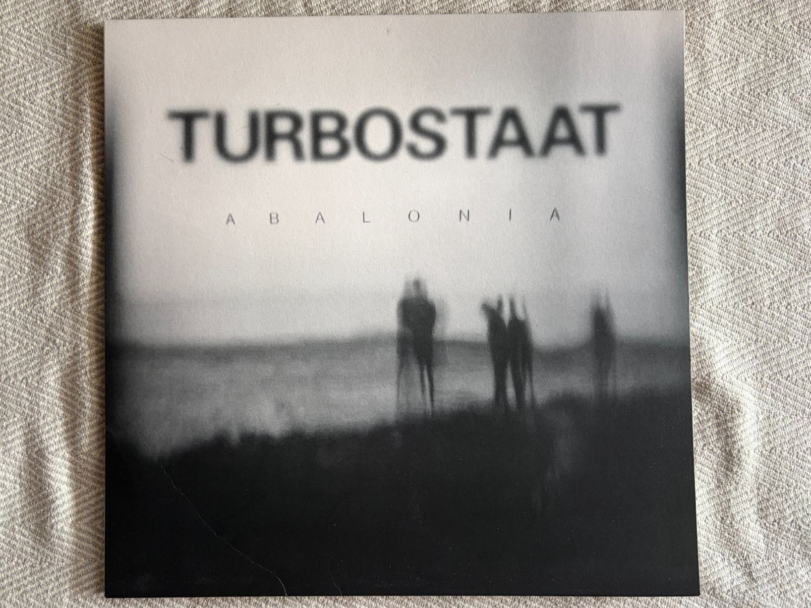 Dischi in vinile: TURBOSTAAT - Abalonia - Vinyl – Usato da Aarberg venduto da umearocks 3