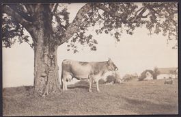Bauernleben Landwirtschaft Malerische Appenzeller Bilder
