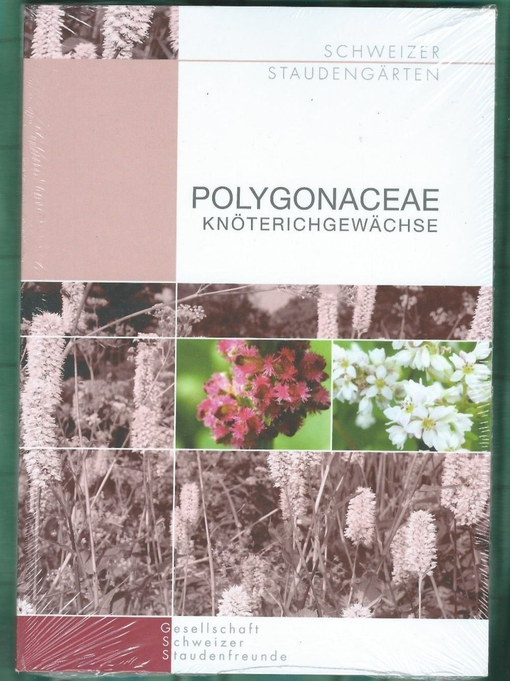Libri: Polygonaceae, Knöterichgewächse – Nuovo e nell'imballaggio originale da Zürich venduto da t24_de