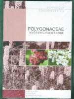 Polygonaceae, Knöterichgewächse