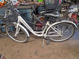 bici donna