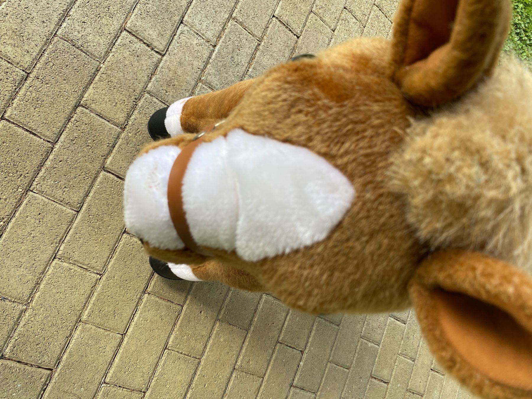 Fahrzeuge für Kinder: PonyCycle Reitpferd Browny in Grösse M – Neu (gemäss Beschreibung) aus Zug von ver_k8yx 1