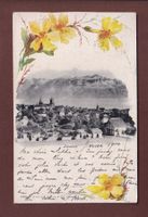 LAUSANNE - Narcisses - 1900