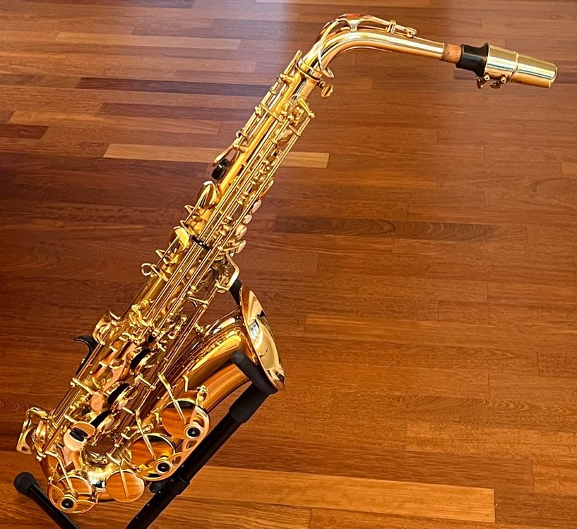 AltoSaxophon YANAGISAWA 900 Kaufen auf Ricardo