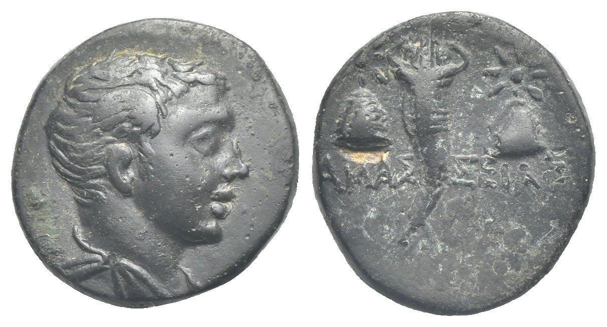 Tutti le monete: AMASEIA bronze münze – Usato da La Sarraz venduto da classicworldcoins