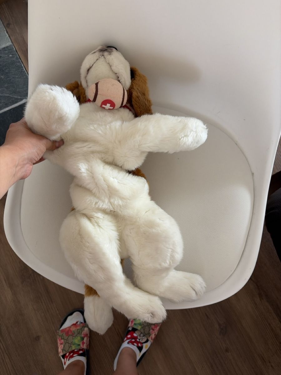 Giocattoli: Stofftier Hund  – Usato da Opfershofen TG venduto da dan_nxk8 3