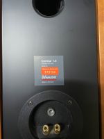 Dynaudio Contour 1.3