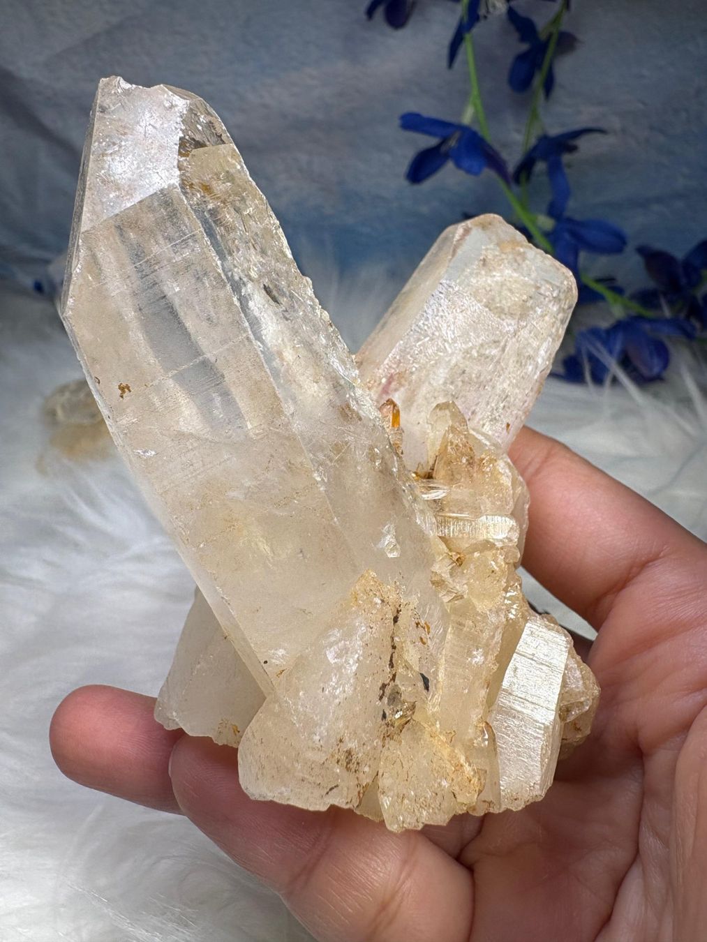 Minerali & Pietre curative: Laotian Clear Quartz mit Record Keeper – Nuovo (secondo la descrizione) da Neuheim venduto da m.hald 2