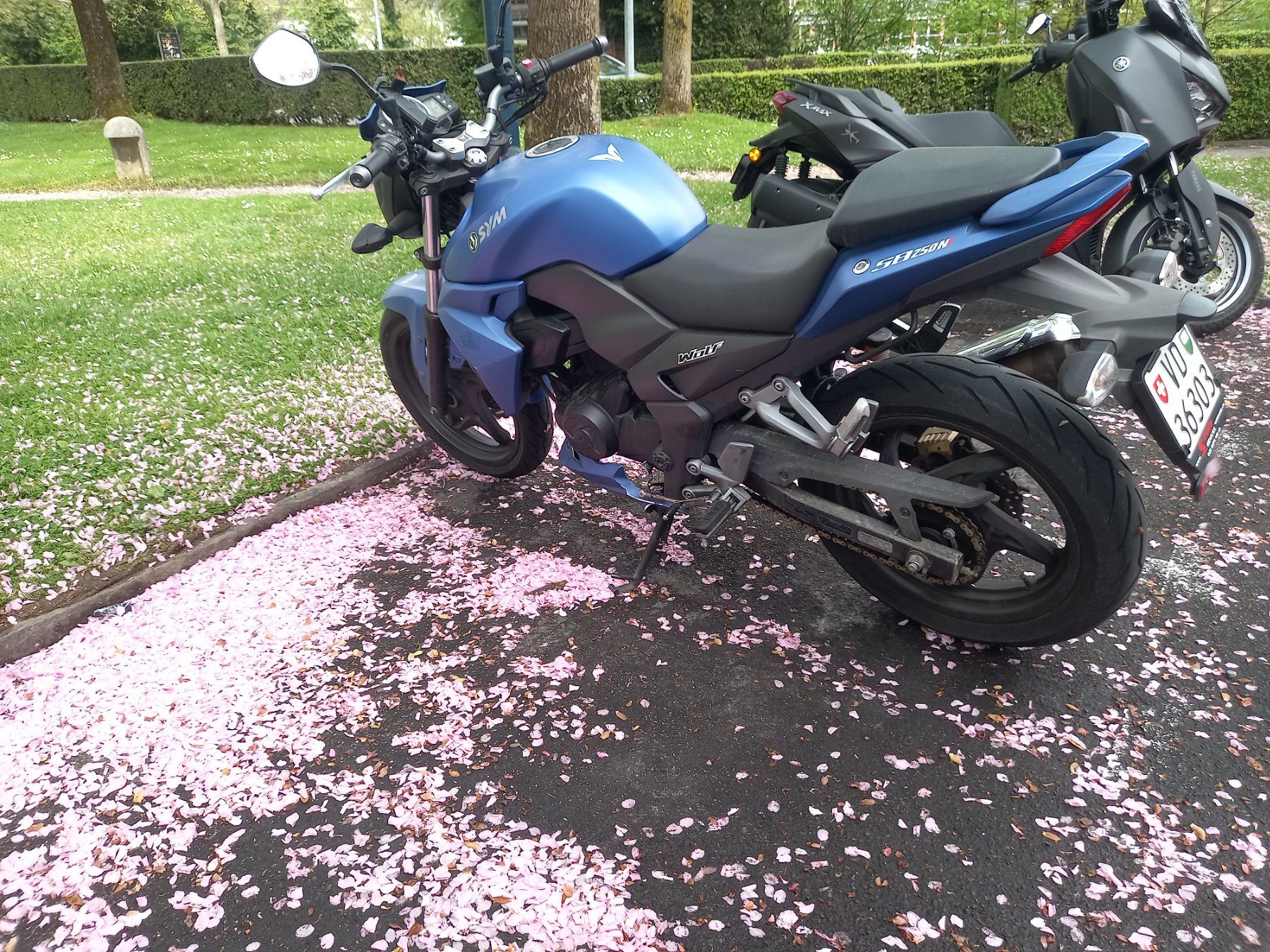Sym Strada: SYM Wolf 250cc, Moto idéale pour le permis – Usato da Lausanne venduto da anu_7kz5 3