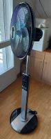 Standventilator mit Timer und Fernbedienung guter Zustand