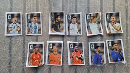 Panini 2026