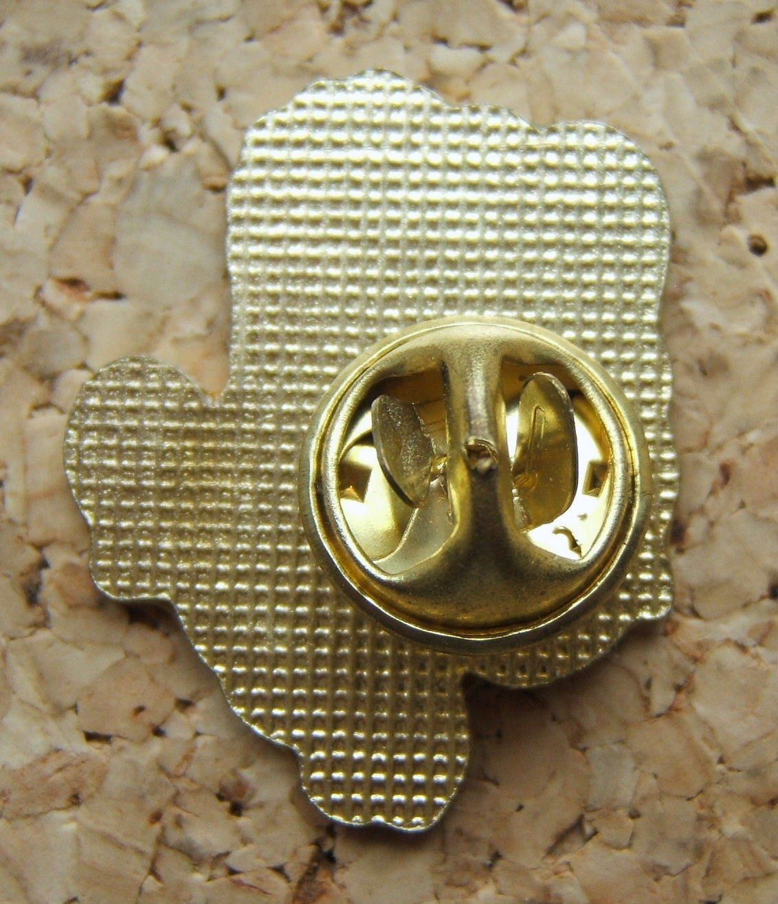 Nintendo Plaquettes & Badges: PIN SUPER MARIO MIT STERN – D'occasion à Brunnen par Nonne04 1
