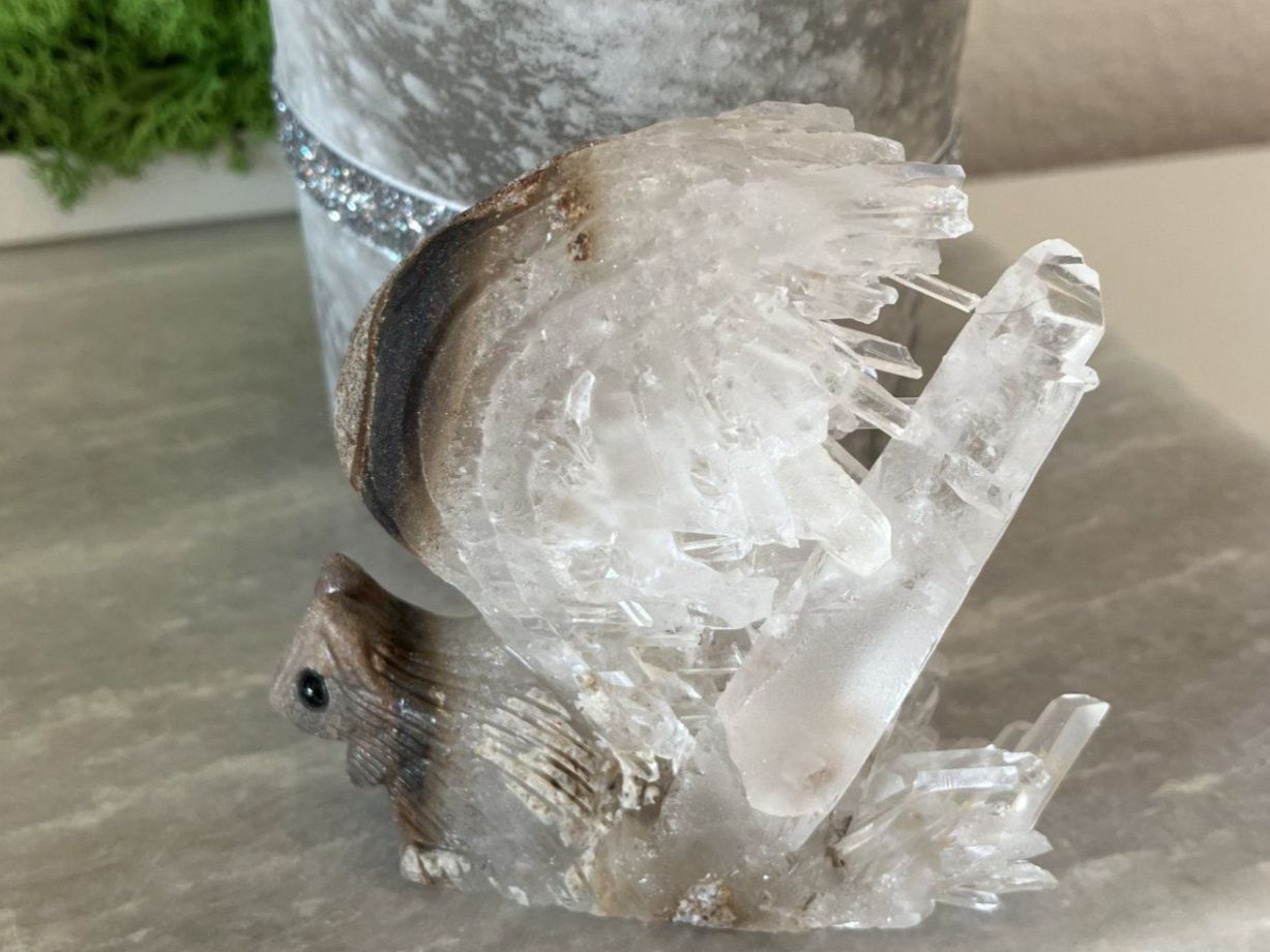 Pietre preziose: Eichhörnchen Statue Bergkristall Edelstein Ecureuil Cristal – Nuovo (secondo la descrizione) da Prilly venduto da ilyria73