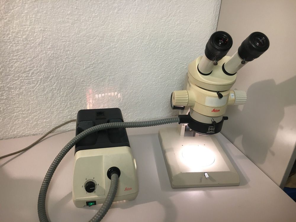 Leica MS5 Microscope (Gebraucht) in Bassecourt für CHF 490 – mit ...