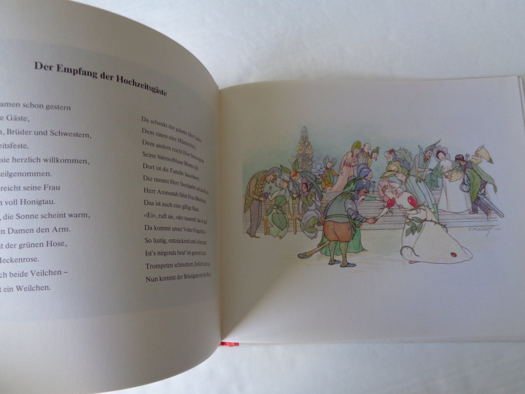 Libri: Blumen Märchen von Ernst Kreidolf – Usato da Chur venduto da omonia 3