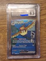 🔥 Pokémon Pidgeot ex 225/197 CGC 8.5 English