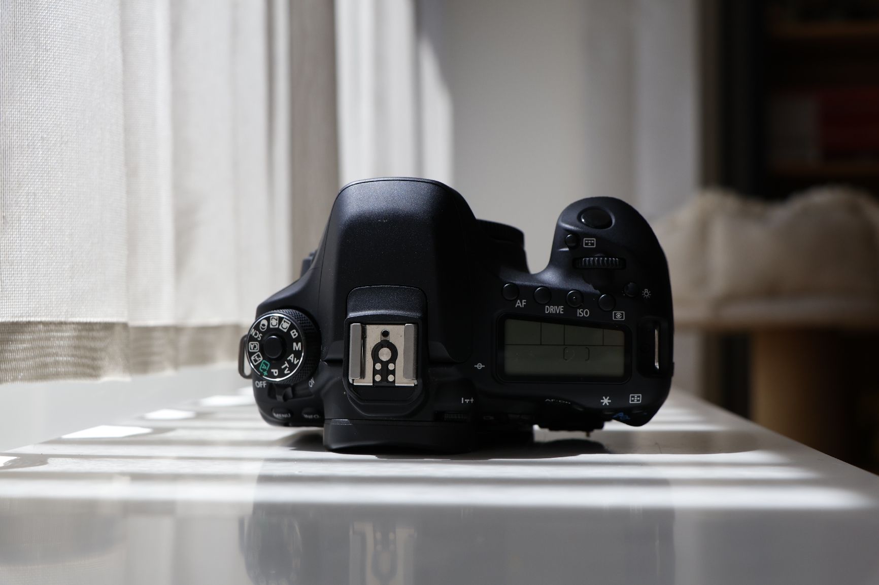 Canon Kamera: Canon EOS 80D – Gebraucht aus Reinach BL von RobinLeandro 2