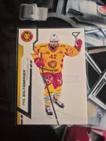 Phil Baltisberger SCL Tigers 2024/25 Sportzoo