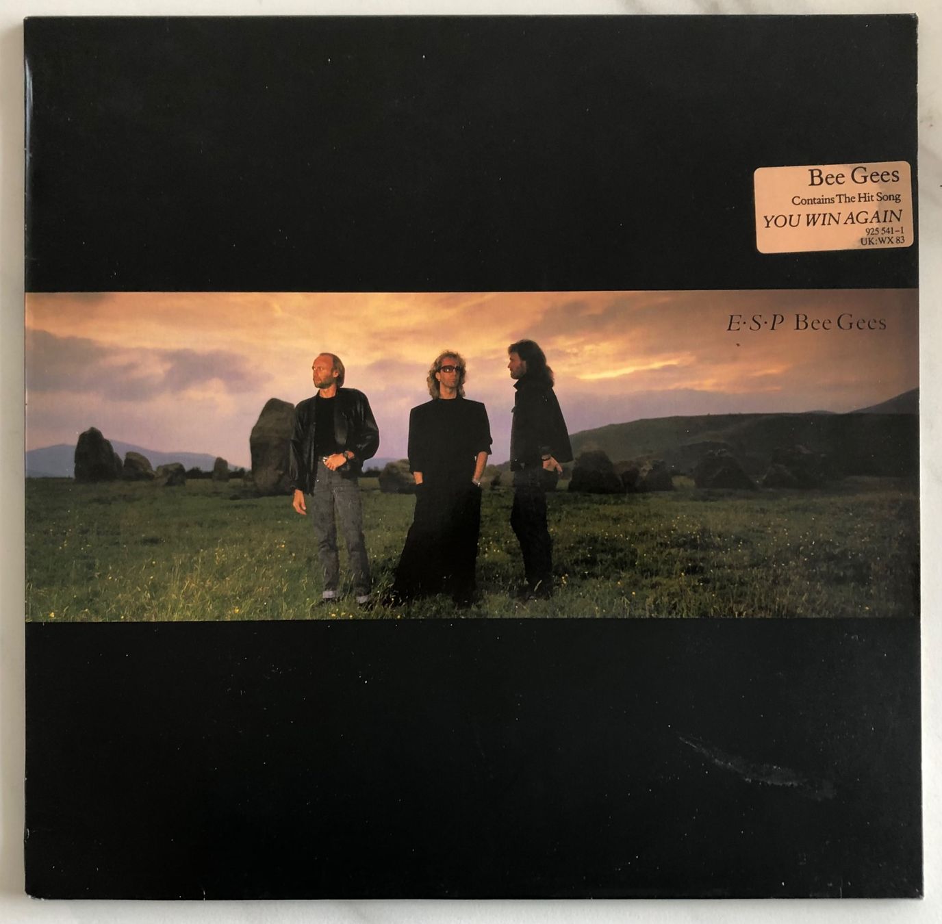 Vinyles: BEE GEES - E·S·P – D'occasion à Poliez-Pittet par Newtown-Records