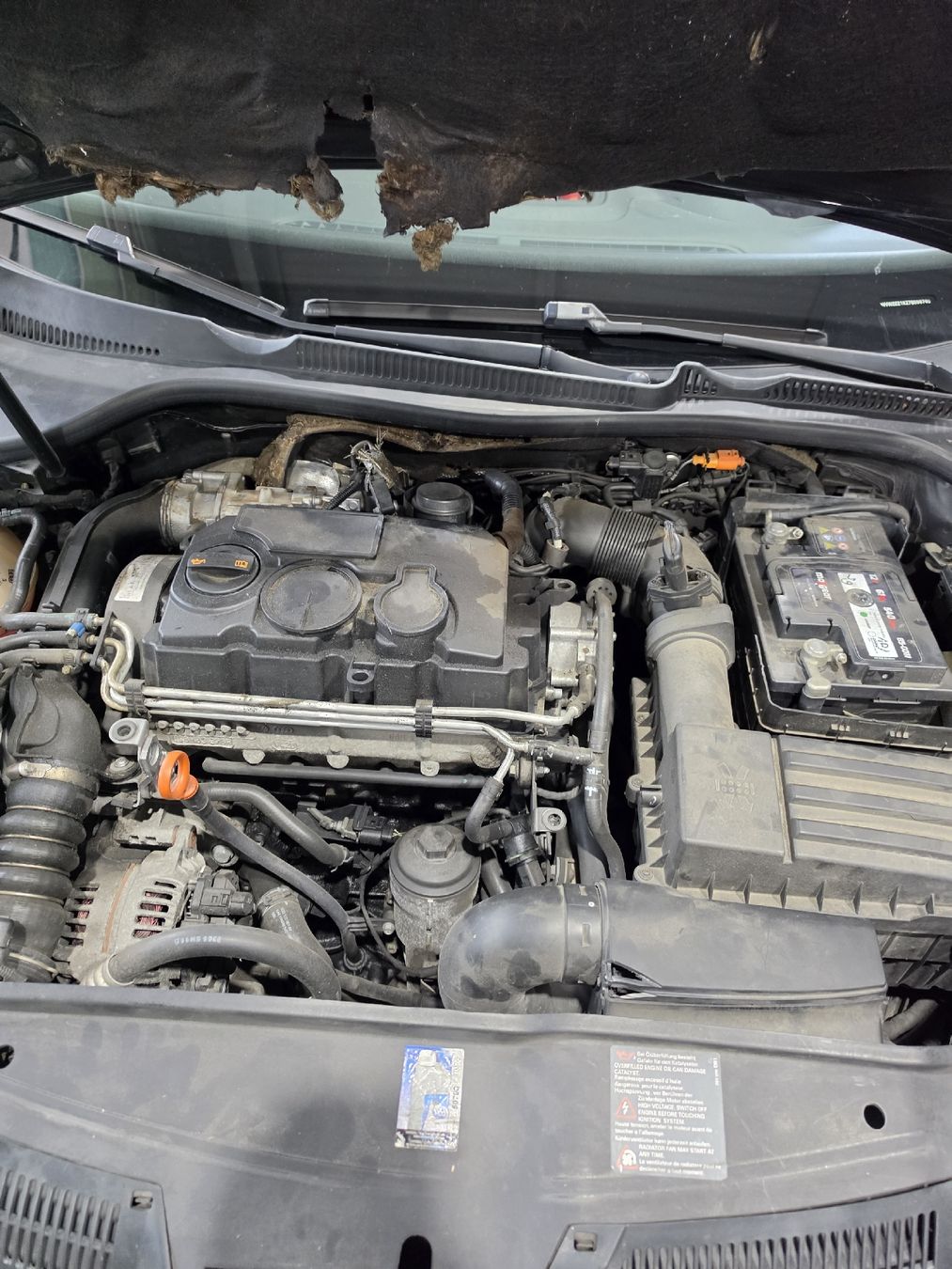 VW Automobili: VW Golf 5 1.9 Diesel – Usato da amriswil venduto da tatini 7