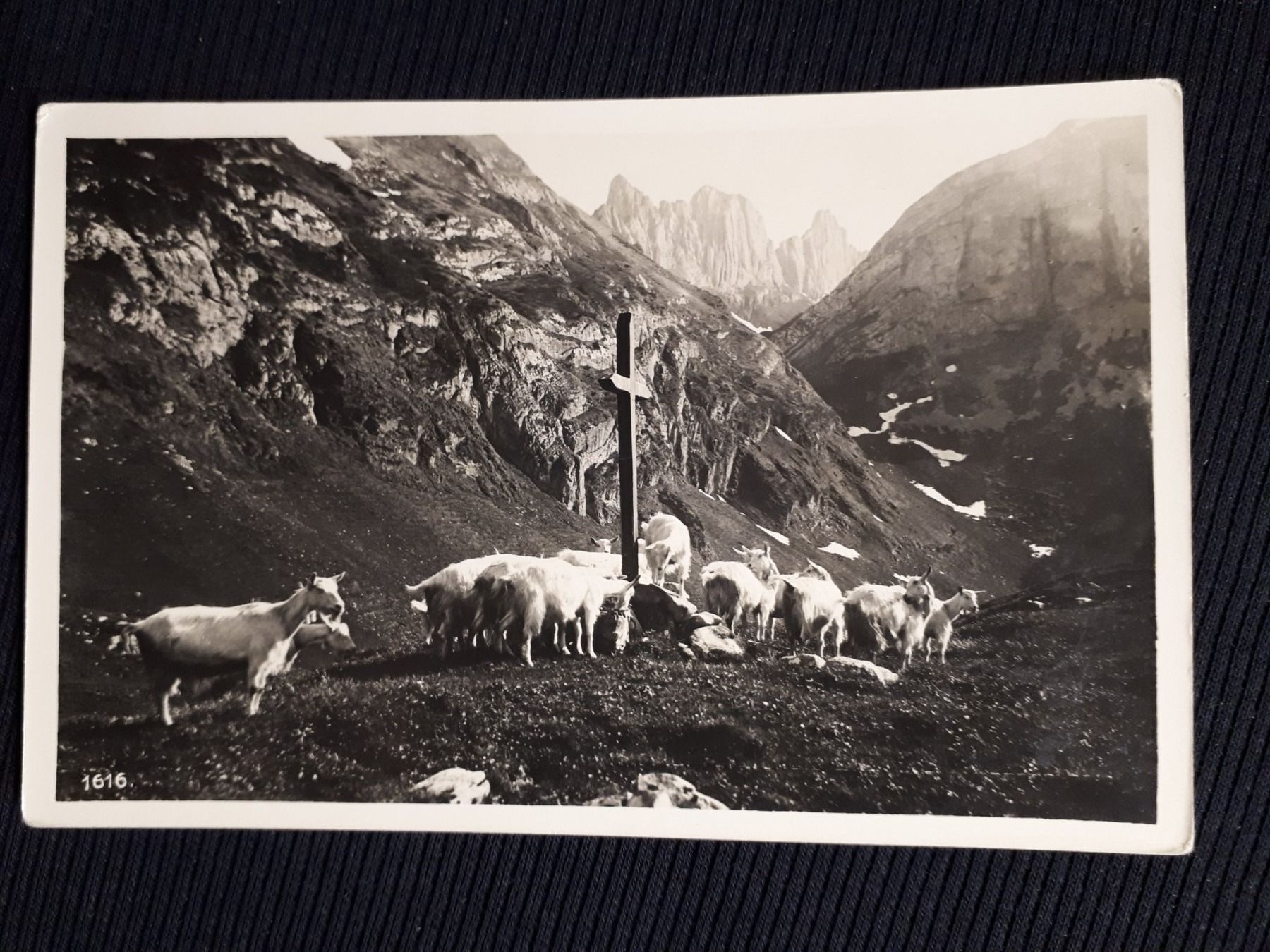 Ansichtskarten: BAUERNLEBEN ZIEGEN – Gebraucht aus Ponto Valentino von giorgia06