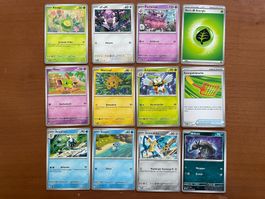 Pokemon 12er Karten Set (Versand gratis)