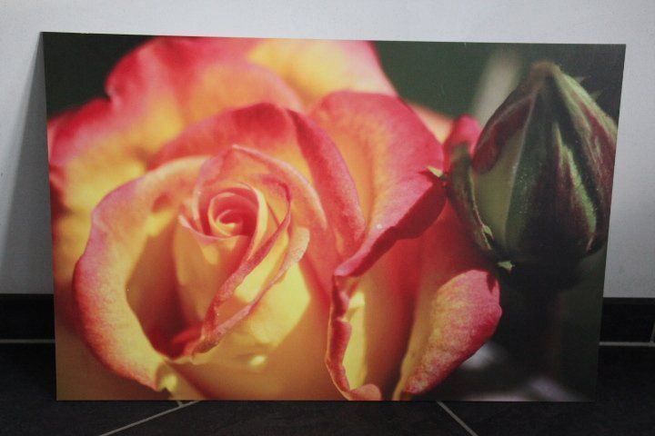 Foto & Immagini: Aluplatte 40 x 60 cm – Usato da Eschenbach SG venduto da Anisti13
