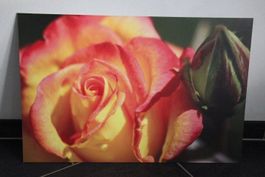 Aluplatte 40 x 60 cm