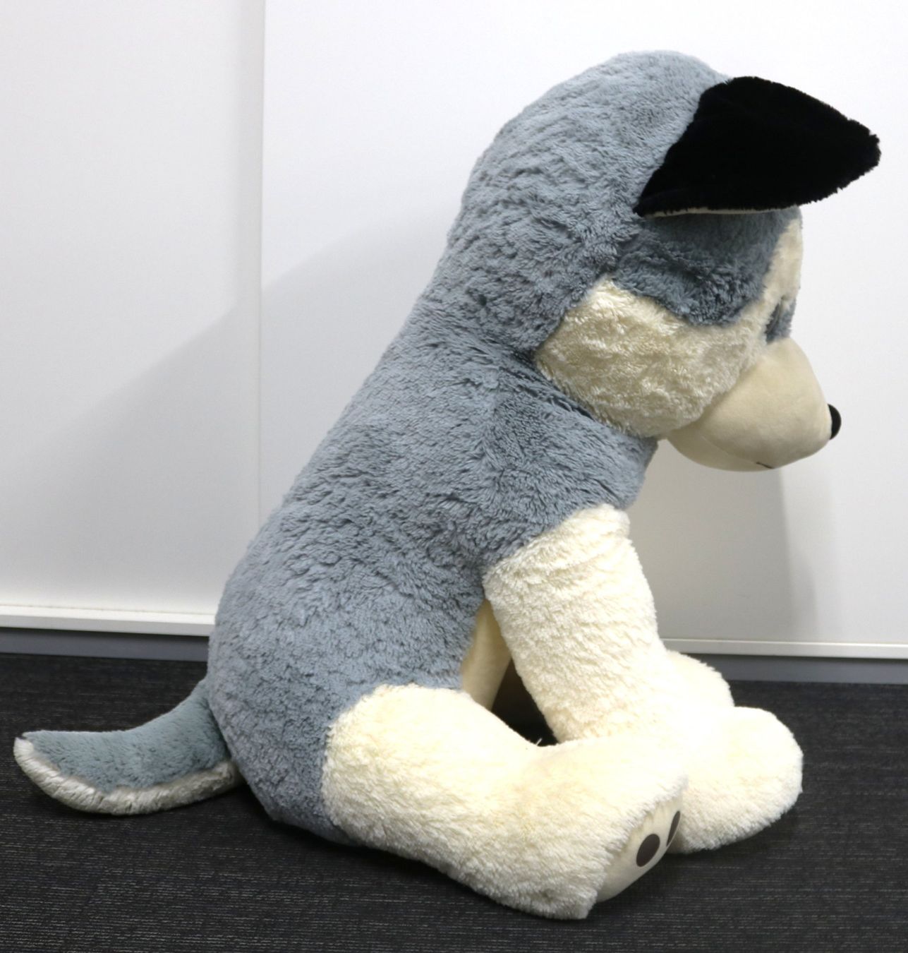 Jouets: Grosser Plüsch-Husky – D'occasion à Volketswil par brockipfannenstil 1