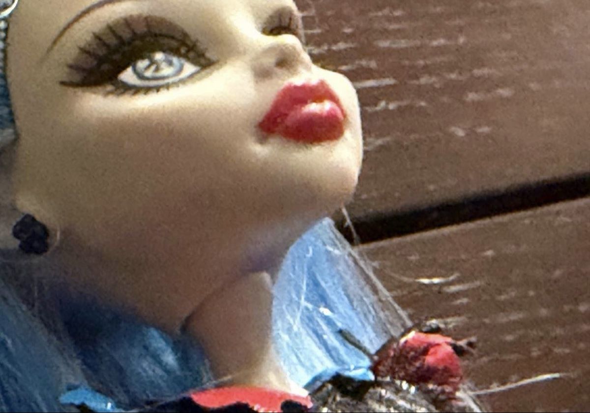 Puppen: Monster high  – Gebraucht aus Schindellegi von miminutka 1