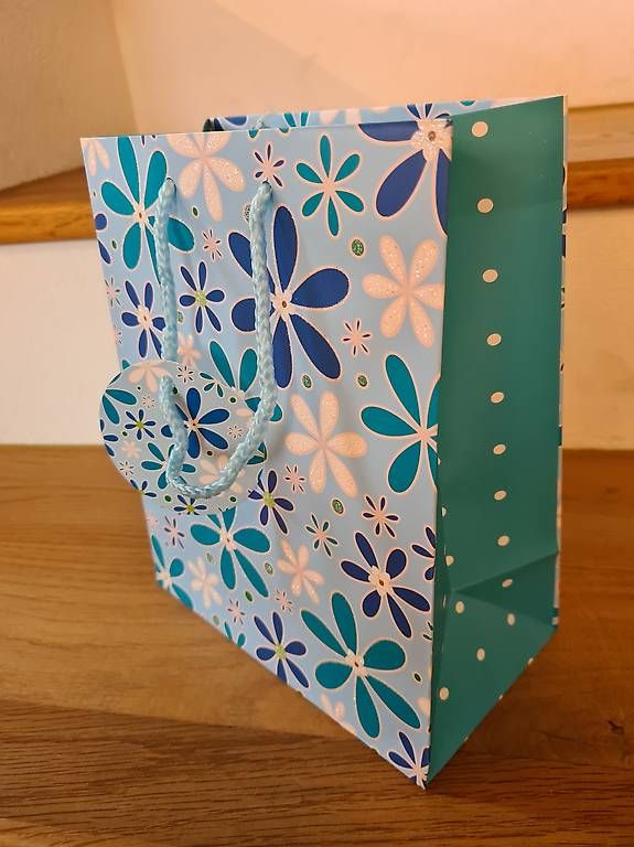 Borse: Papiertasche blau und rosa – Usato da Oberuzwil venduto da Noluma 4