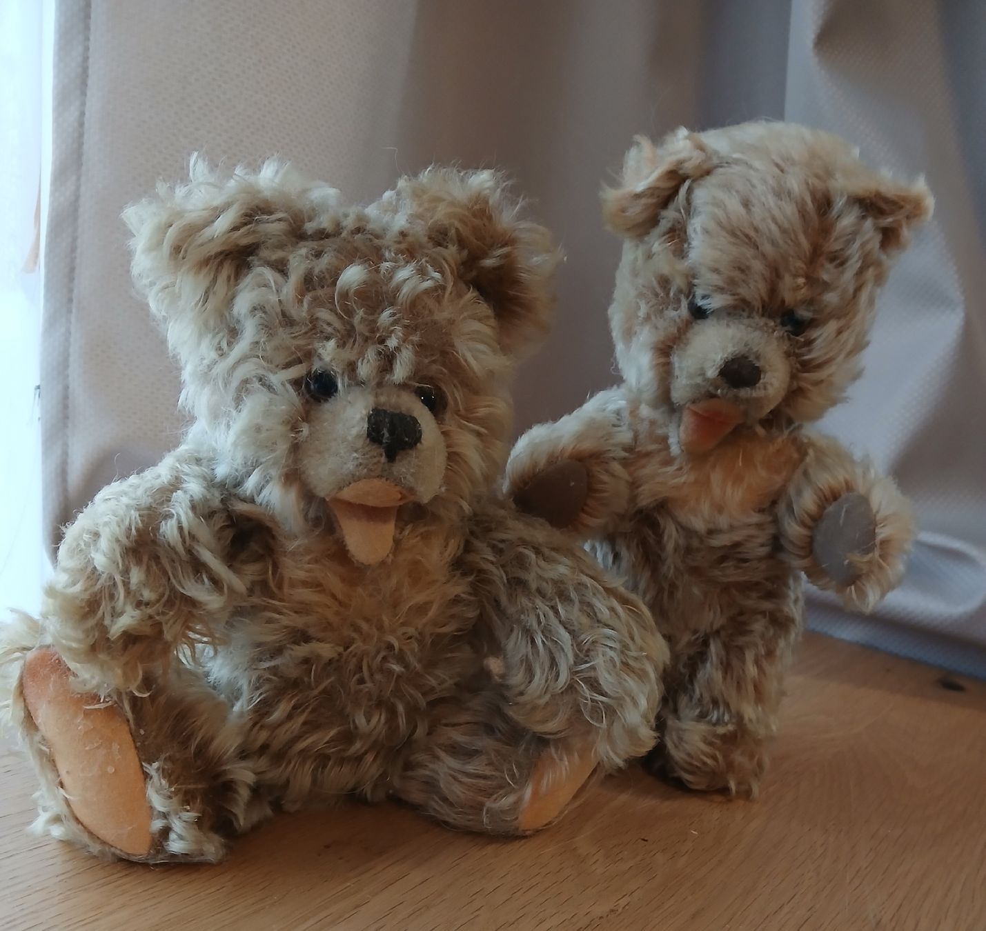 Teddy Hermann Jouets: Hermann Teddybäre, Rarität! – D'occasion à Frasnacht par ale_g288 1