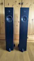 Totem Acoustic STTAF Standlautsprecher, inkl. Totem Claws