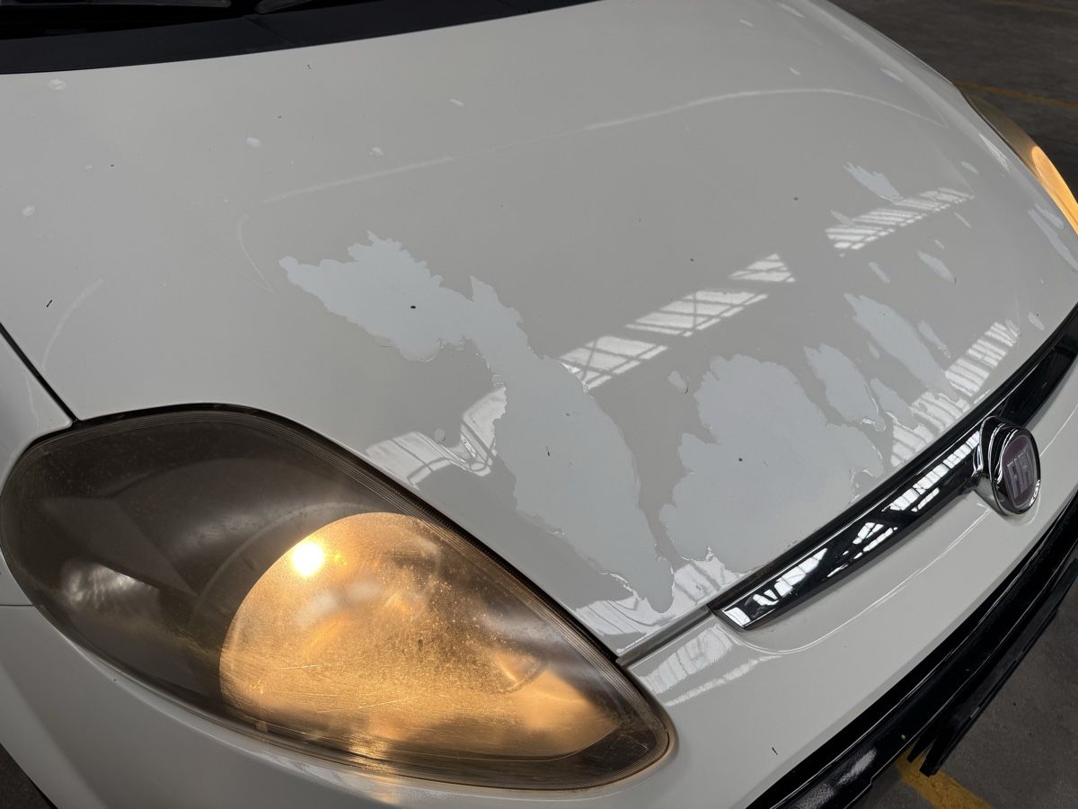 Fiat Automobili: Fiat Punto 1.4 mit MFK – Usato da Zürich venduto da edi_2mph 6